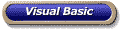 Visual Basic